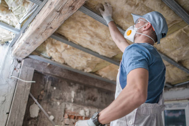Best Commercial Insulation in Springfield, MO